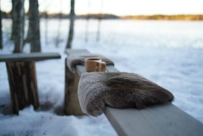 Porontalja istuinalunen